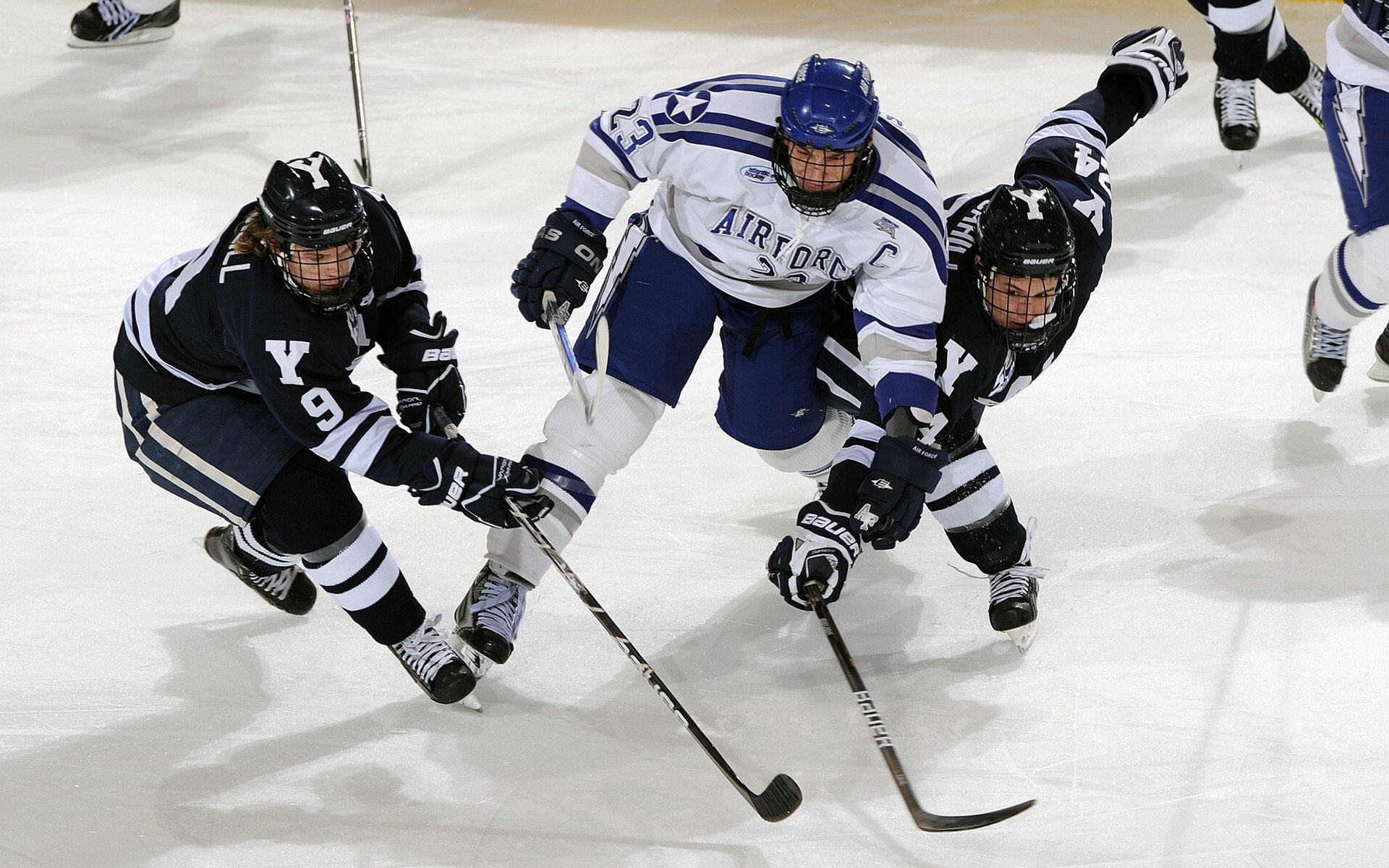 完美风暴，贝恩的非典型英雄主义与国王的王朝序章